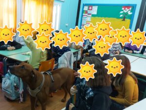 κατοικίδια ζώα